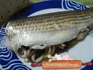 cefalo cartoccio
