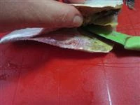 leccia stella al pomodoro immagine 1