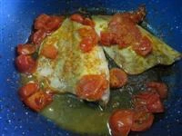 leccia stella al pomodoro immagine 6