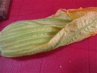 fiori di zucca  ripieni immegine 3