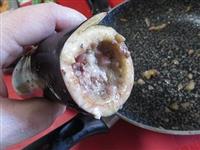 melanzane ripiene alla brace