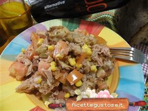 panzanella gustosa pane raffermo