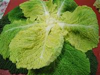 verza ripiena patate