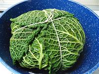 verza ripiena patate