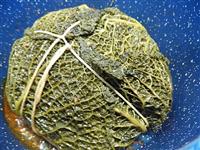verza ripiena patate