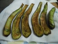 parmigiana fredda immagine 3