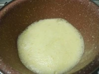 budino al kiwi rosso immagine 4
