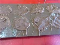 cioccolatini gelati alla menta immagine 3