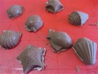 cioccolatini gelati alla menta immagine 4