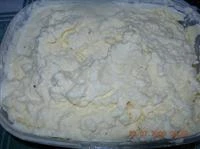 gelato in freezer nello stampo