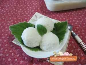 gelato lime e foglia limone