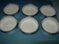 Panna cotta negli stampini pronta per il frigo