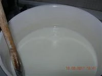 panna cotta allo yogurt magro immagine 2