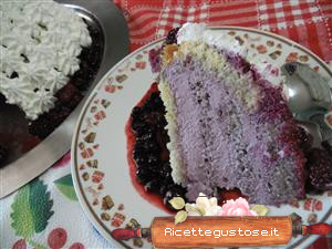 zuccotto panna cotta frutti di bosco
